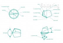 Vrták na DPS SX35M, pre slepé otvory, Ød:0,20mm, L2:1,2mm